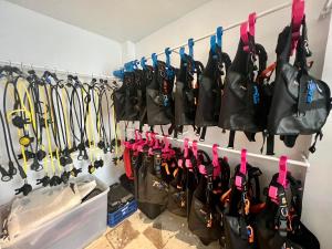 Fotografie z fotogalerie ubytování E-Fun Dive Resort v destinaci Dauin