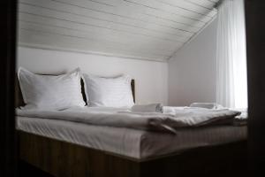 Gallery image of Vila Edelweiss in Predeal