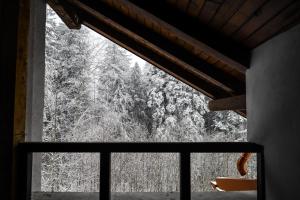 Gallery image of Vila Edelweiss in Predeal