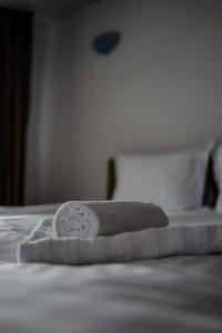 Gallery image of Vila Edelweiss in Predeal