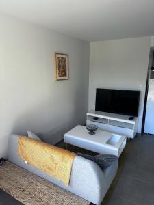 een woonkamer met een bank en een tv bij Gîte de Villedavid in Amboise