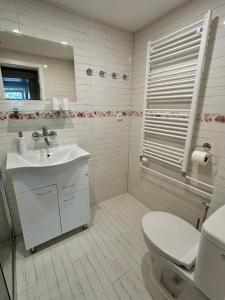 a white bathroom with a toilet and a sink at Apartmán Vendy in Karlovy Vary