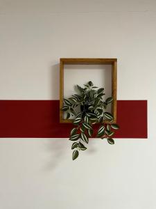 Foto sihtkohas Sombor asuva majutusasutuse 'MONAS' mini apartments galeriist