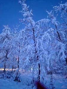 Gallery image of Mitt paradis in Bardufoss +101 photos