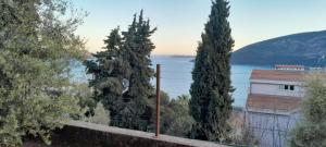 a group of three trees and a building and water at Vake in Herceg-Novi