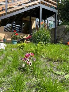 Garður fyrir utan Guesthouse Relax in Kazbegi