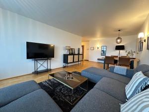 un salon avec un canapé bleu et une télévision dans l'établissement Apartment in Fellsmúli Reykjavik - Birta Rentals, à Reykjavik