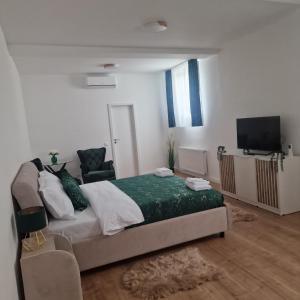 una camera da letto con un letto e una TV a schermo piatto di Pentagon Concept a Alba Iulia