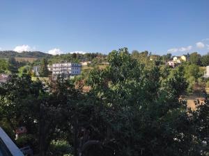 a view of a city from behind some trees at Casa alloggio Aprìco - abitare il relax in città in Potenza