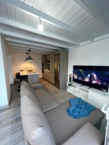 TV a/nebo společenská místnost v ubytování SerenArty Beach Flor con jacuzzi