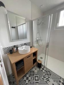 un baño con lavabo y ducha en La Dubonnette, en La Ferté-Saint-Aubin