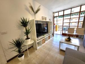a living room with potted plants and a television at Apartamento Claudia en Lago Santiago con piscina in Puerto de Santiago
