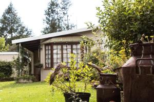 una casa con un cortile con piante davanti di Douglas Drift Cottages a Underberg