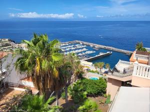 an aerial view of a harbor with a marina at Apartamento Claudia en Lago Santiago con piscina in Puerto de Santiago