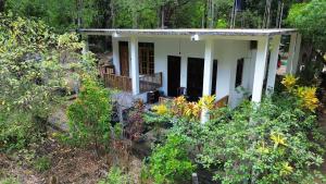 Zahrada ubytování Dream Villa Sigiriya