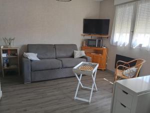 Televízia a/alebo spoločenská miestnosť v ubytovaní Studio tout équipé refait à neuf