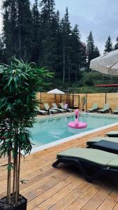 Gallery image of Julia in Dragobrat