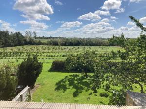 een uitzicht op een veld met bomen en gras bij Idyllic country house in Vadum