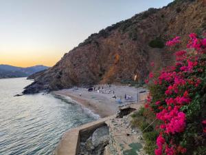 a beach with pink flowers and people on the beach at Sa Roca in Campionna