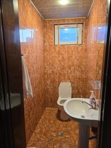 Ένα μπάνιο στο Mziuri Cozy Guesthouse