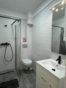 une salle de bains avec douche, toilettes et lavabo dans l'établissement Sky Residence Airport Therme Otopeni 5, à Otopeni