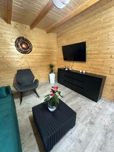 a living room with a couch and a tv and a chair at Mahoniowe Zacisze in Strzeszów