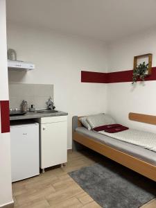 Köök või kööginurk majutusasutuses 'MONAS' mini apartments