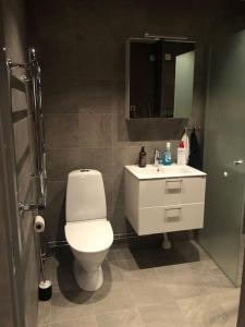 フネスダーレンにあるFunäsdalsfjällen för skidor, cykel, vandring och fiskeのトイレ、洗面台、鏡のあるバスルーム