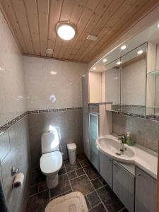 une salle de bain avec toilettes, lavabo et miroir dans l'établissement Mökki Levillä palveluiden lähellä, à Kittilä