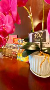 eine Pflanze in einer weißen Schale auf einem Tisch mit Blumen in der Unterkunft BV2 HotelSuite homestay 2 bedrooms KK City Centre Near Imago in Kota Kinabalu + 41 Fotos