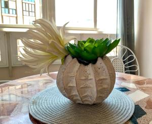 un vaso con una pianta sul tavolo di Centrally-Located, Spacious Flat at Historic Centre & short walk to Beach ad Alicante