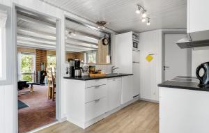 Kuchyň nebo kuchyňský kout v ubytování 3 Bedroom Awesome Home In Tarm