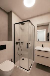 Vannituba majutusasutuses Henry's Appt with a private Suite 412 - Shared kitchen