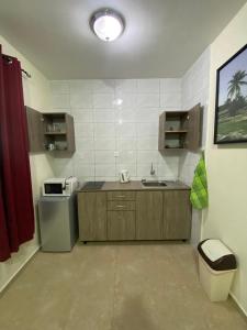 une petite cuisine avec un évier et un comptoir dans l'établissement Maca Apartments, à Willemstad