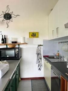 kuchnia ze zlewem i mikrofalówką w obiekcie Villino Mamy w mieście Costa Paradiso +33 zdjęcia