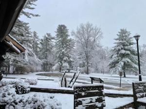 a park covered in snow with benches and trees at White Pines Lodge in Stratford