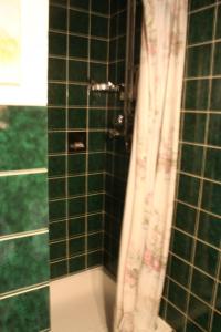 a shower with green tiled walls and a shower curtain at Schöntal- Seen- und Felsen in Ludwigswinkel