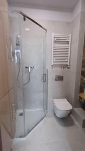 a bathroom with a shower and a toilet at Głogowska 163 Self Check-in 24h in Poznań