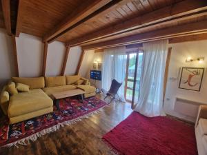 a living room with a couch and a red rug at Green Eye in Žabljak