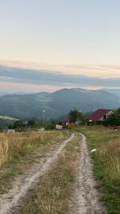 Příroda nedaleko apartmánu