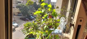 Gallery image of A room in an apartment in Nasr City, Cairo, near Azhar university , 15 minutes from Cairo Airport,غرفة بشقة بمدينة نصر بالقاهرة بالحي الثامن 15 دقيقة من مطار القاهرة و 7 دقيقة من معهد الفجر و 12 دقيقة لمعهد ابانة لتعليم اللغة العربية و 26 دقيقة لوسط البلد in Cairo