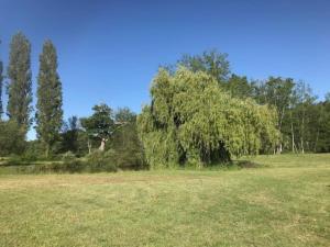 Naturlandskabet i nærheden af villaen