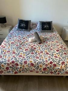 Una cama con un animal de peluche encima. en Spacieux en plein centre, en Sète