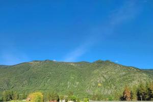una montaña verde con árboles delante de ella en Charming Chalet Close to GNP, Downtown & Game Room!, en Columbia Falls
