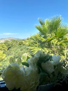 Gallery image of Villa Night Pearl in Trogir