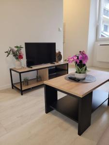 a living room with a tv and a table with flowers at Studio proche centre-ville in Scionzier