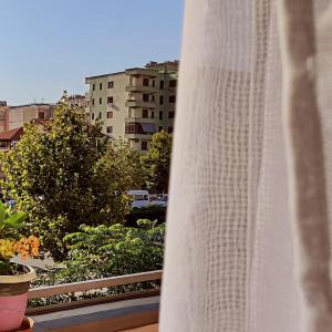 Φωτογραφία από το άλμπουμ του Illyrian apartment Moon σε Vlorë