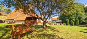 a wooden bench sitting in the grass next to a tree at Vila Ami in Kremna