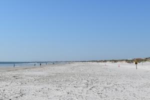 Příroda nedaleko prázdninového domu