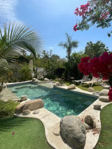 a swimming pool with rocks in a yard at Tropical Oasis in San José del Cabo
